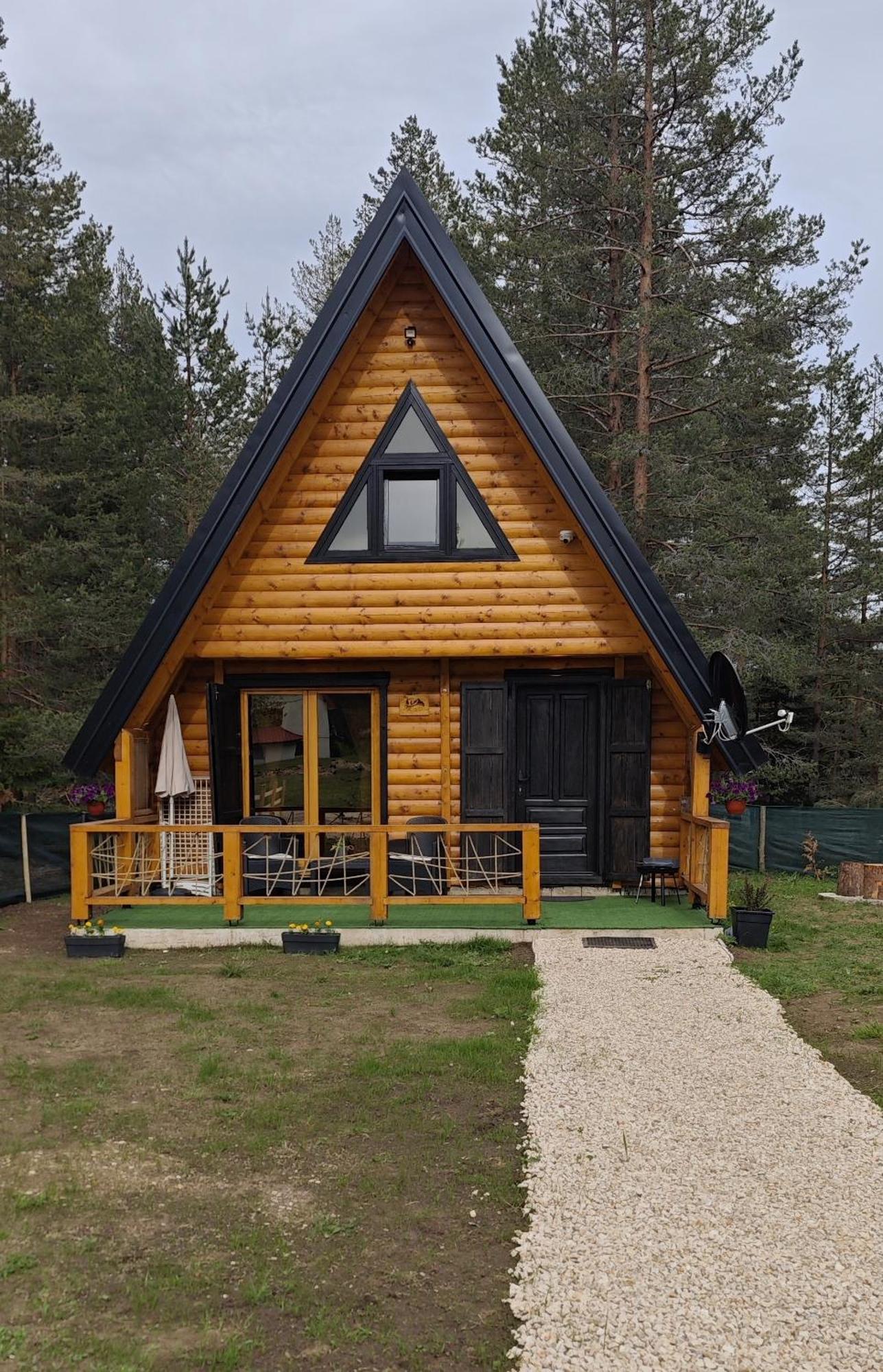 Pine Forest-White Zabljak  Luaran gambar