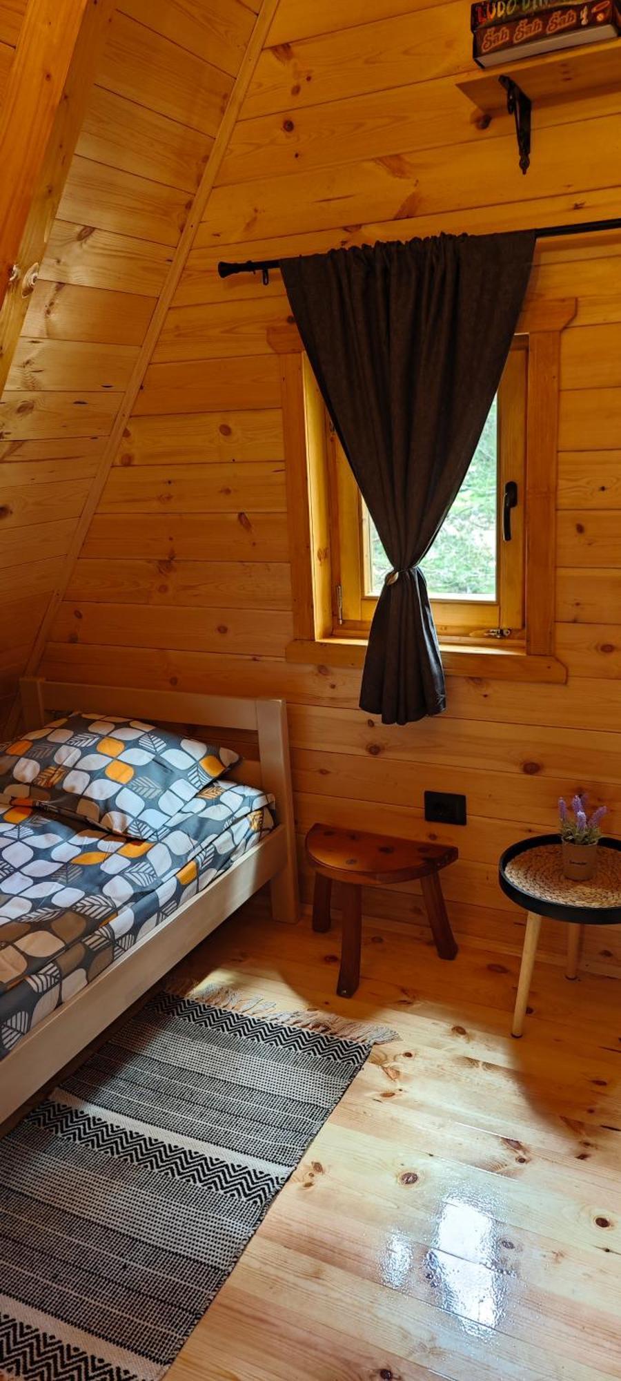 Pine Forest-White Zabljak  Luaran gambar