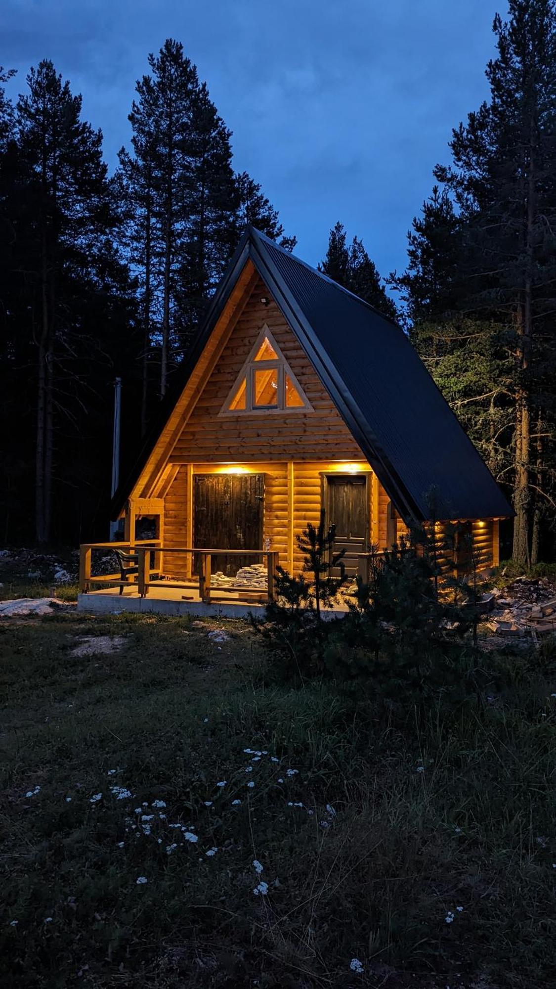 Pine Forest-White Zabljak  Luaran gambar