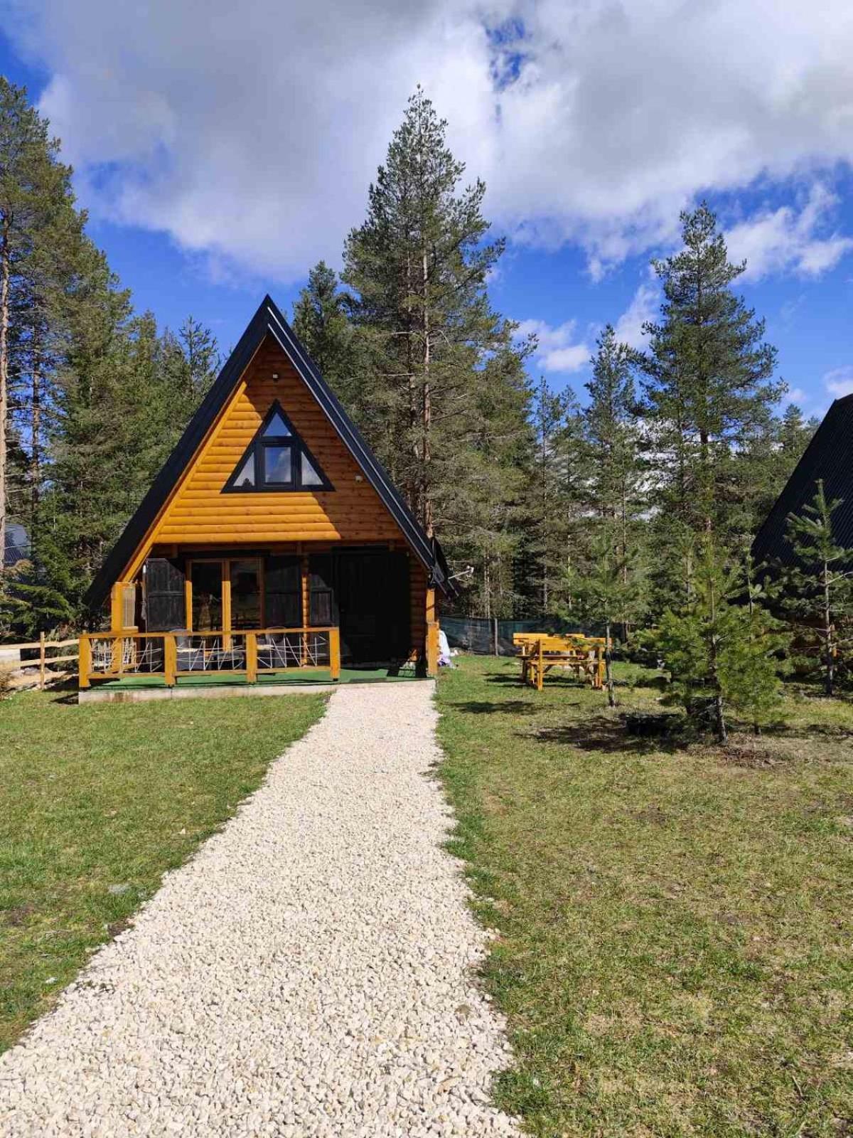 Pine Forest-White Zabljak  Luaran gambar