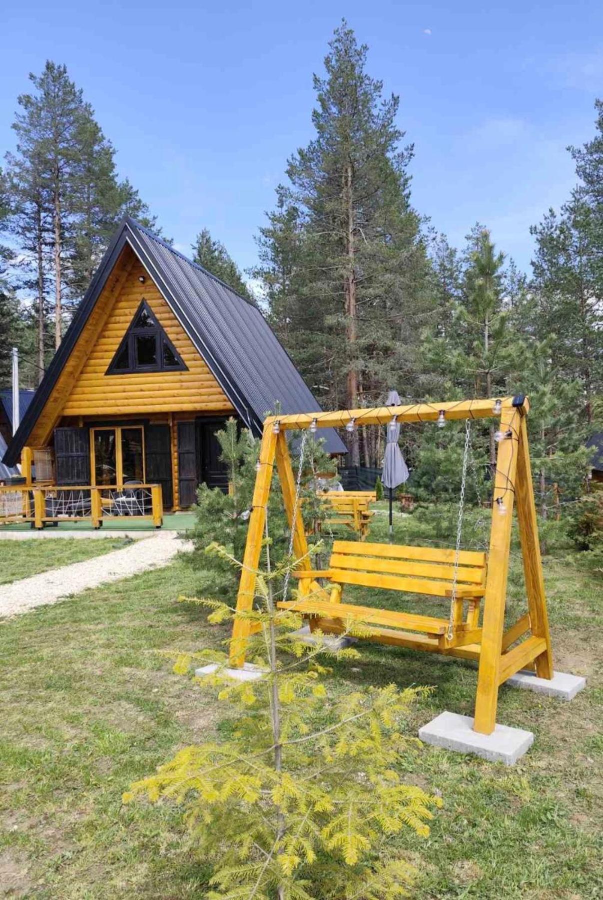 Pine Forest-White Zabljak  Luaran gambar