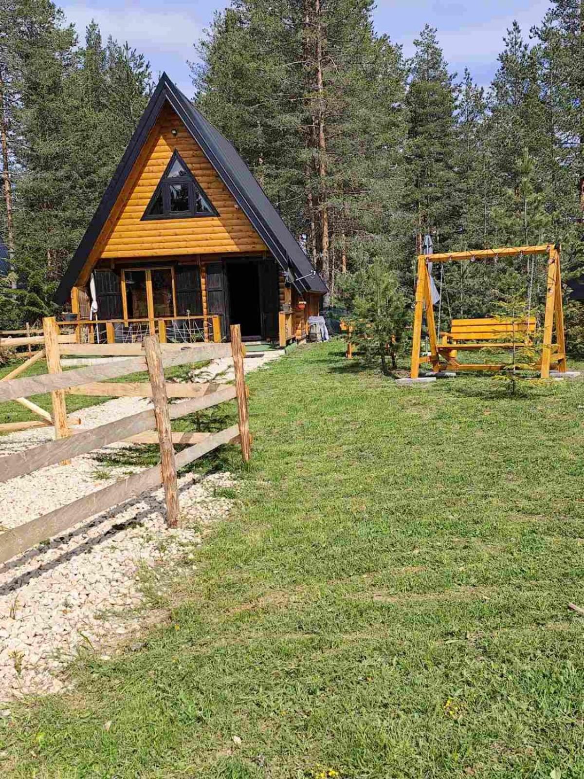 Pine Forest-White Zabljak  Luaran gambar